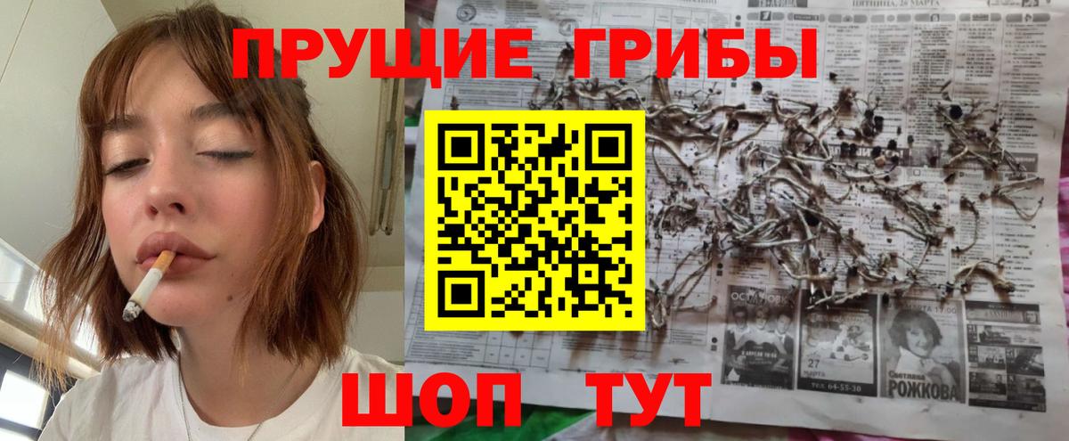 Псилоцибиновые грибы прущие грибы Осинники