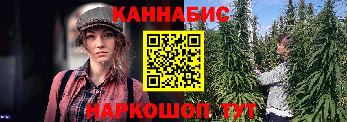 Канабис Amnesia Осинники